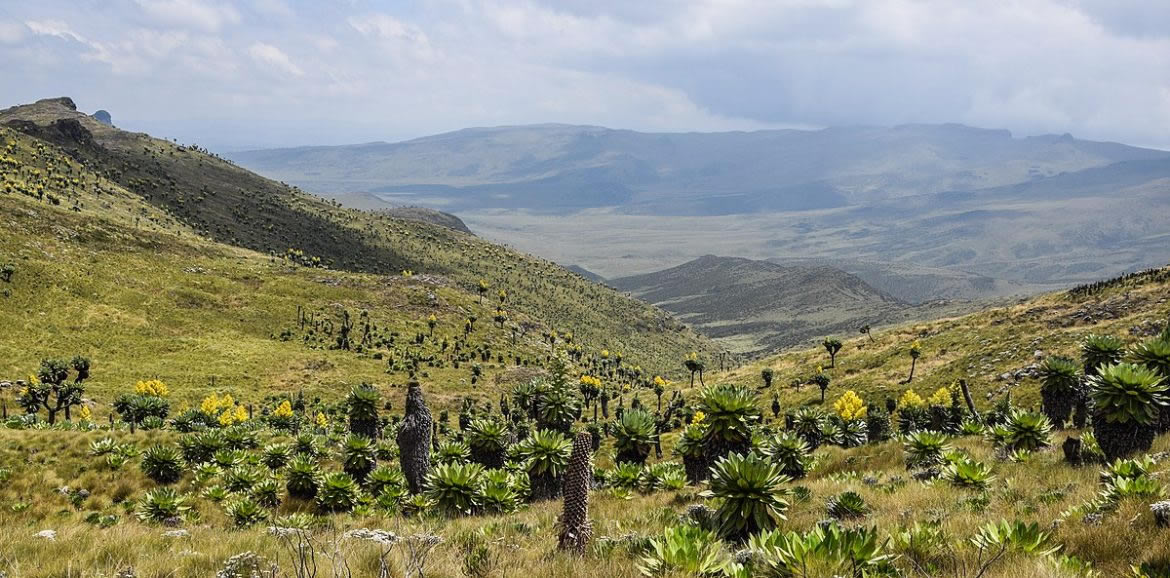 aberdare national park