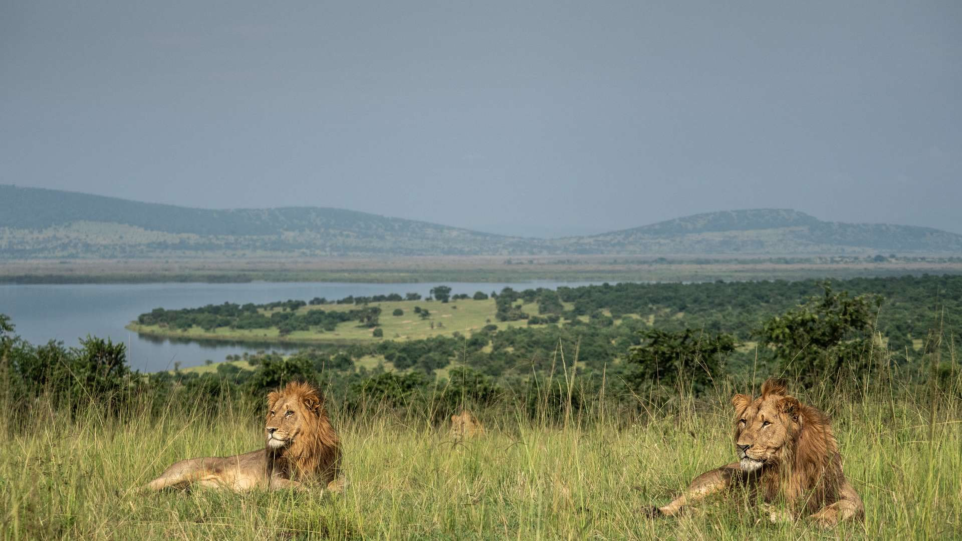 akagera national park