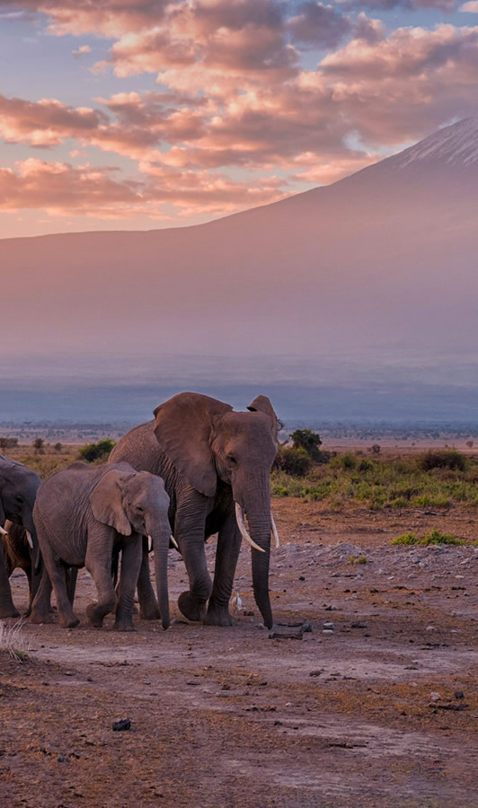 amboseli national park