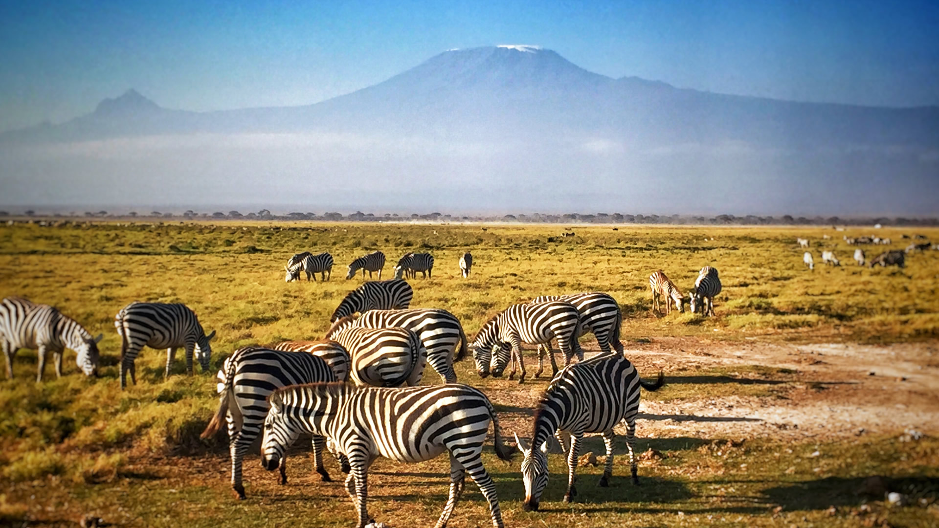 amboseli national park