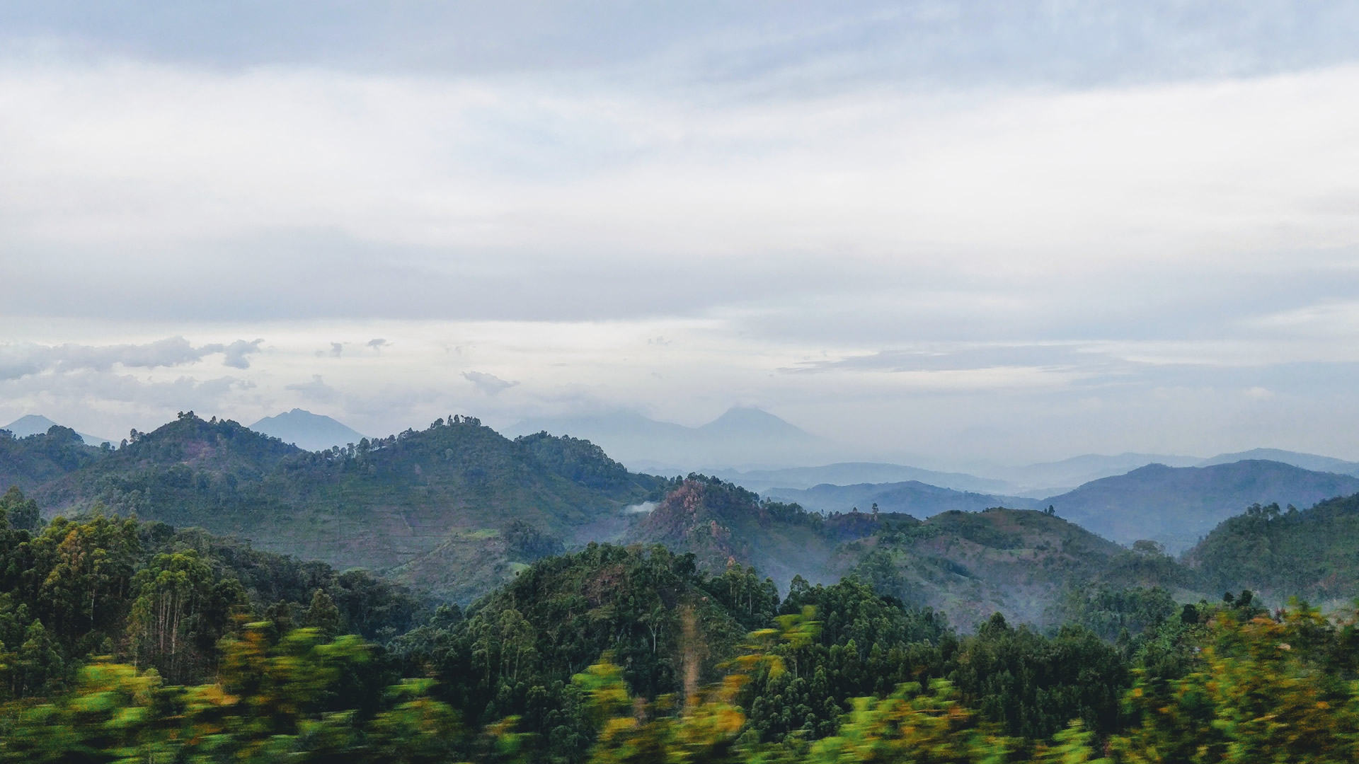 bwindi impenetrable forest