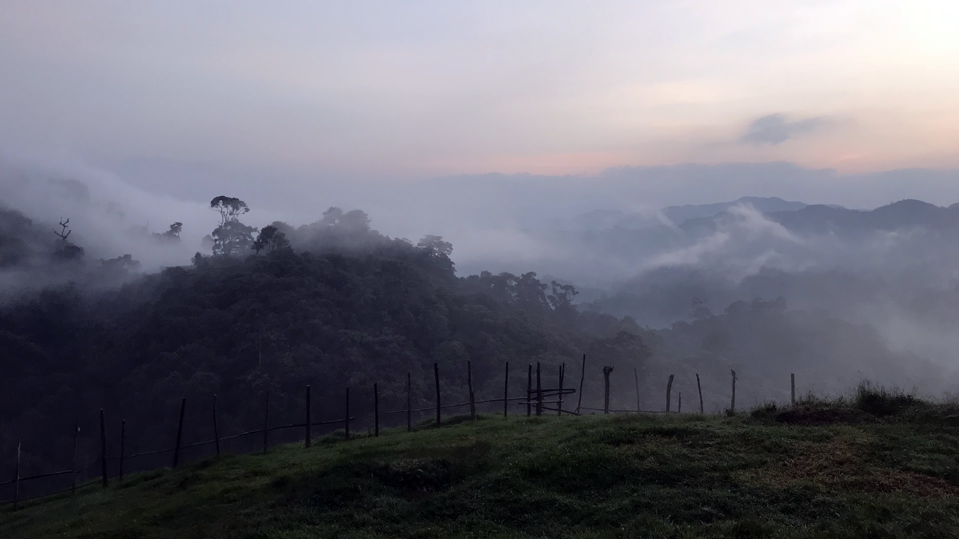 gishwati mukura national park