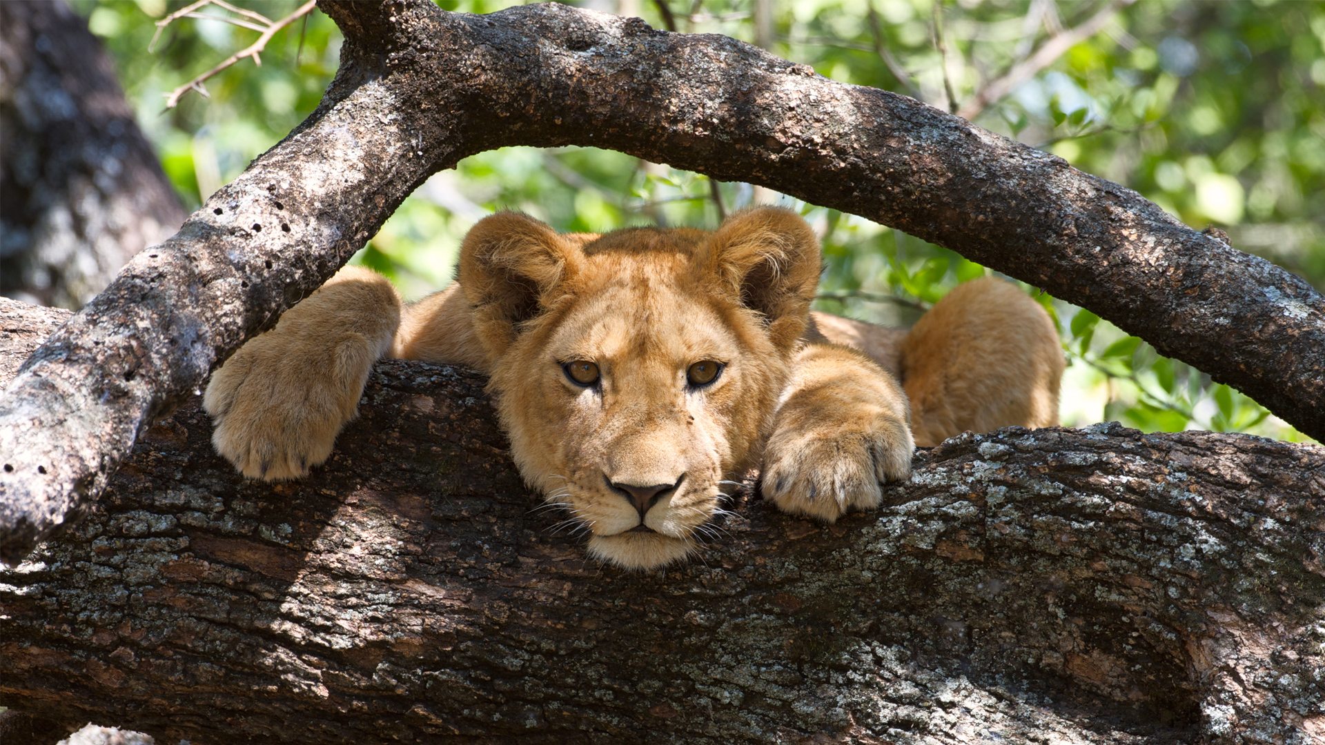 lake manyara national park