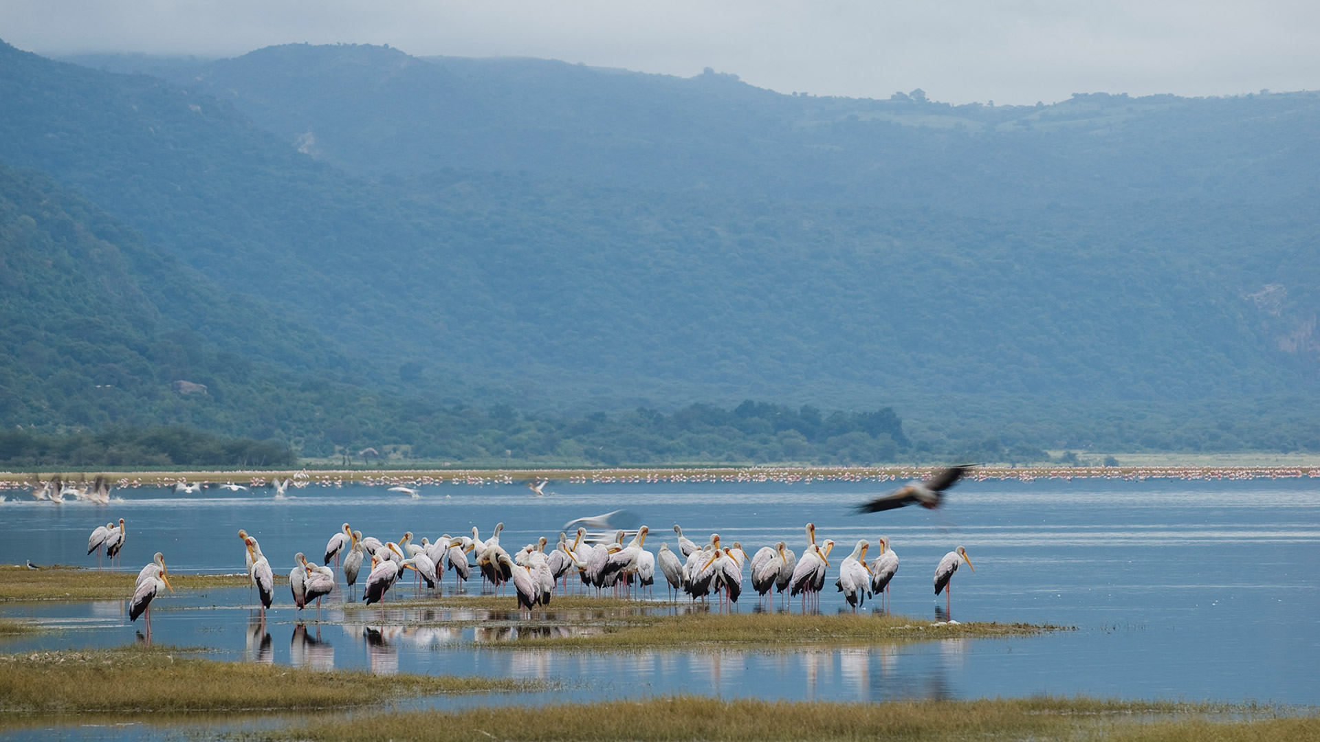 lake manyara national park