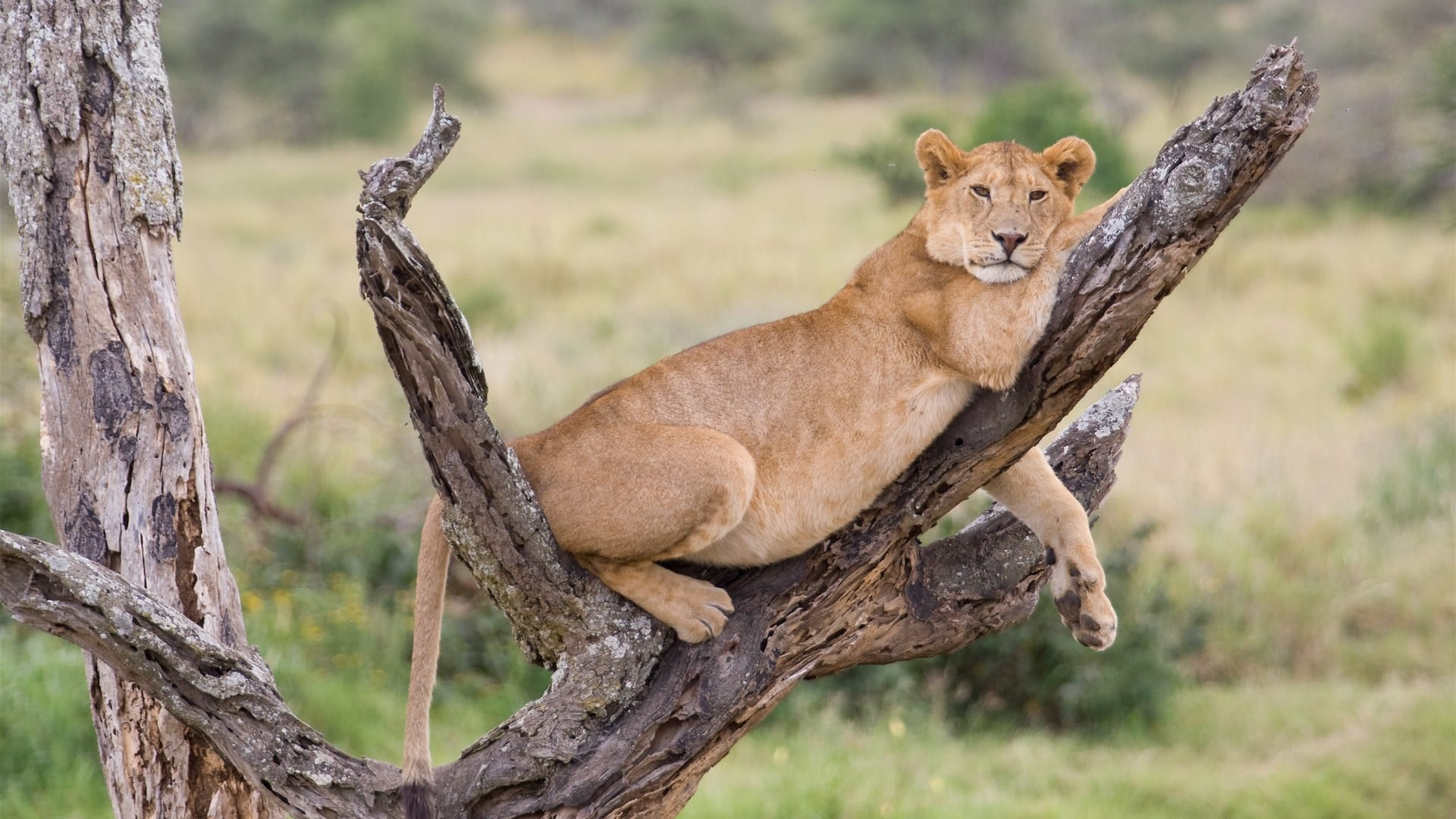 lake manyara national park