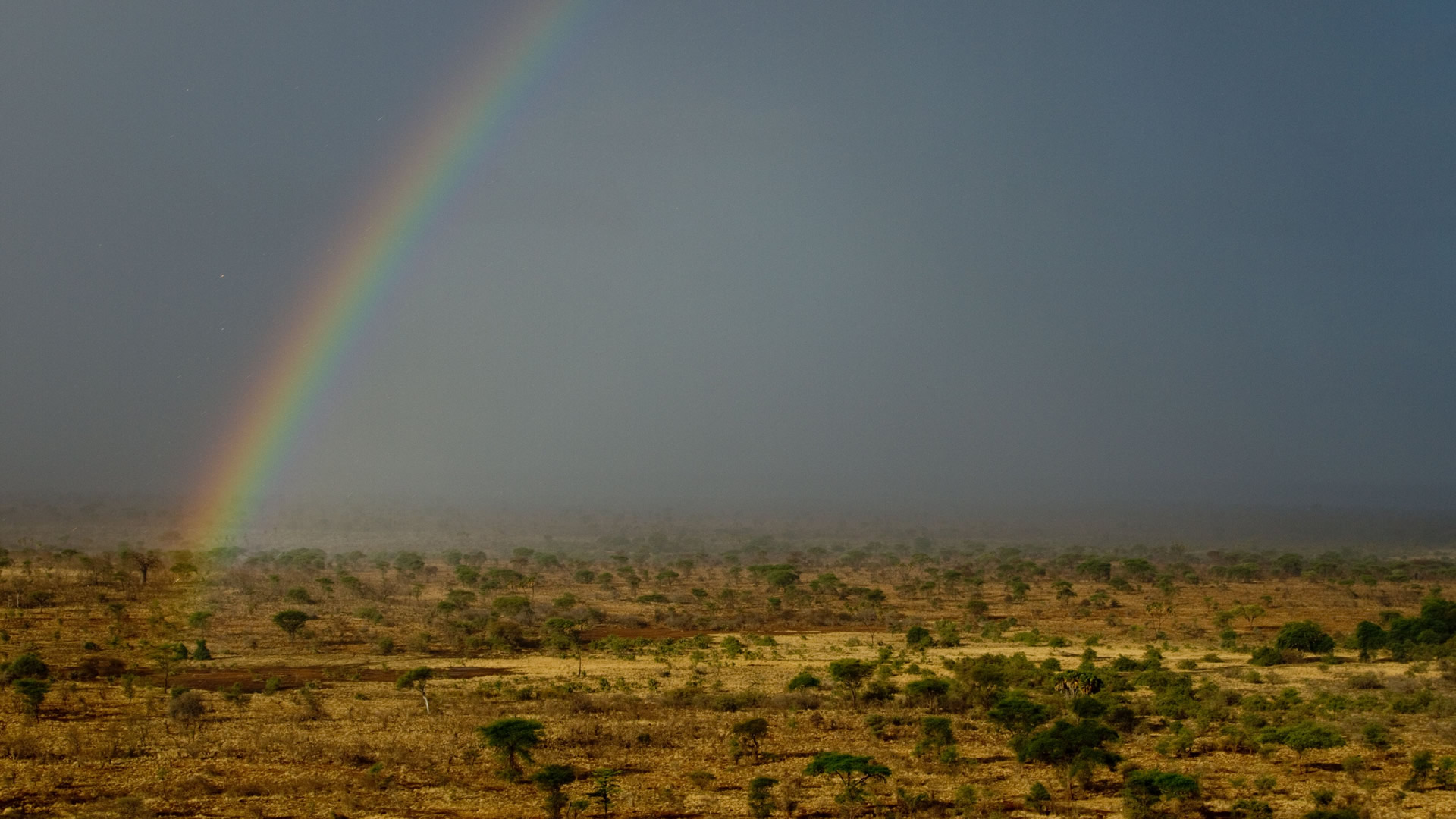 meru national park