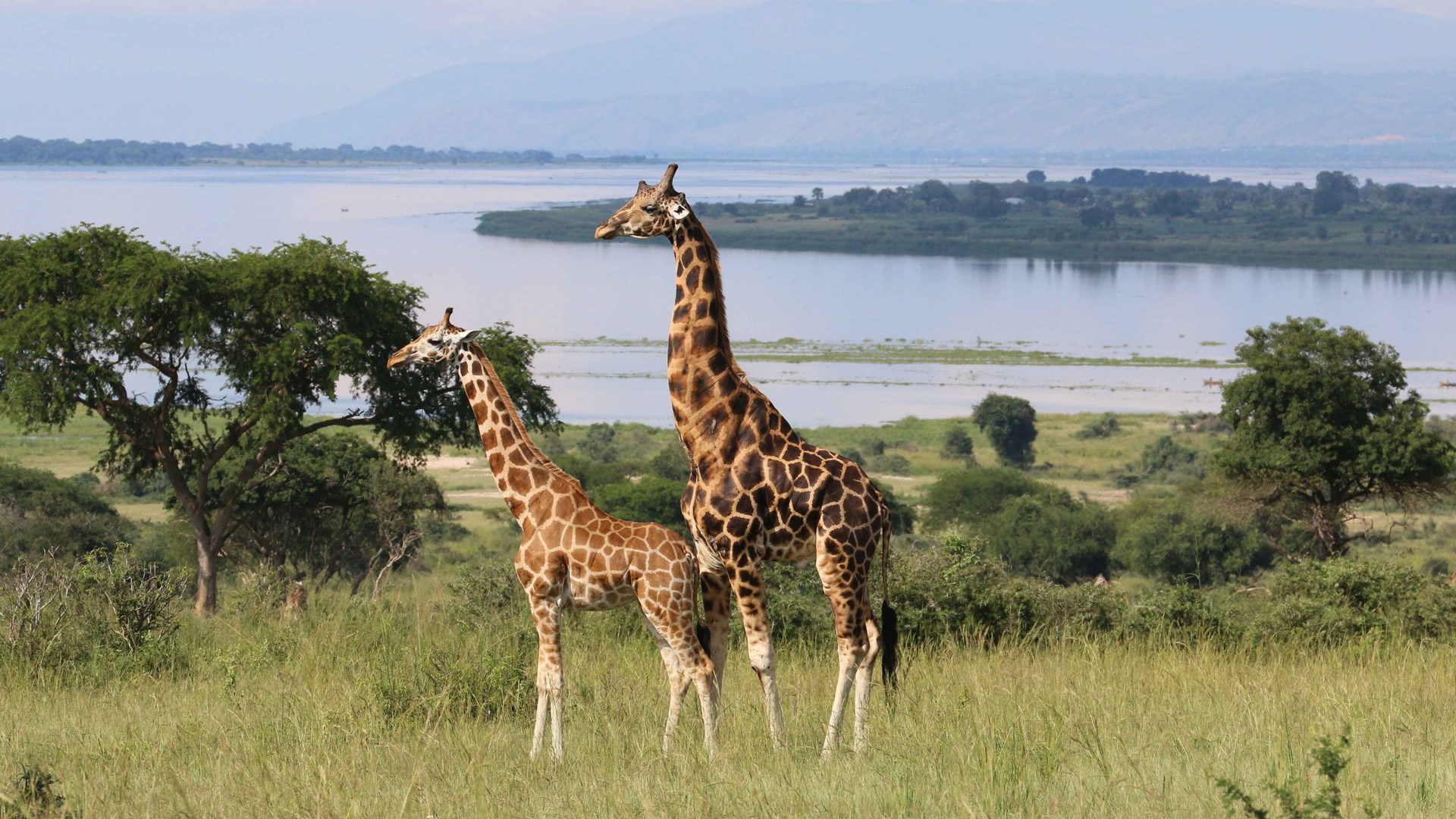 murchison falls national park