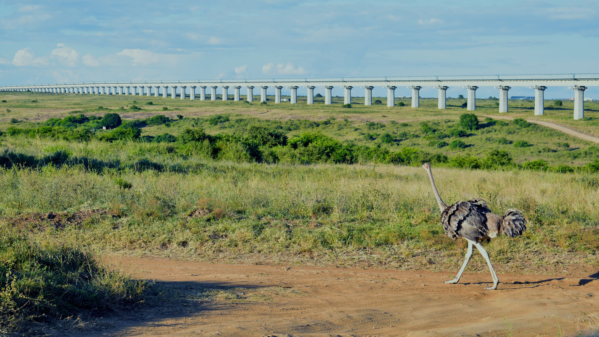 nairobi national park