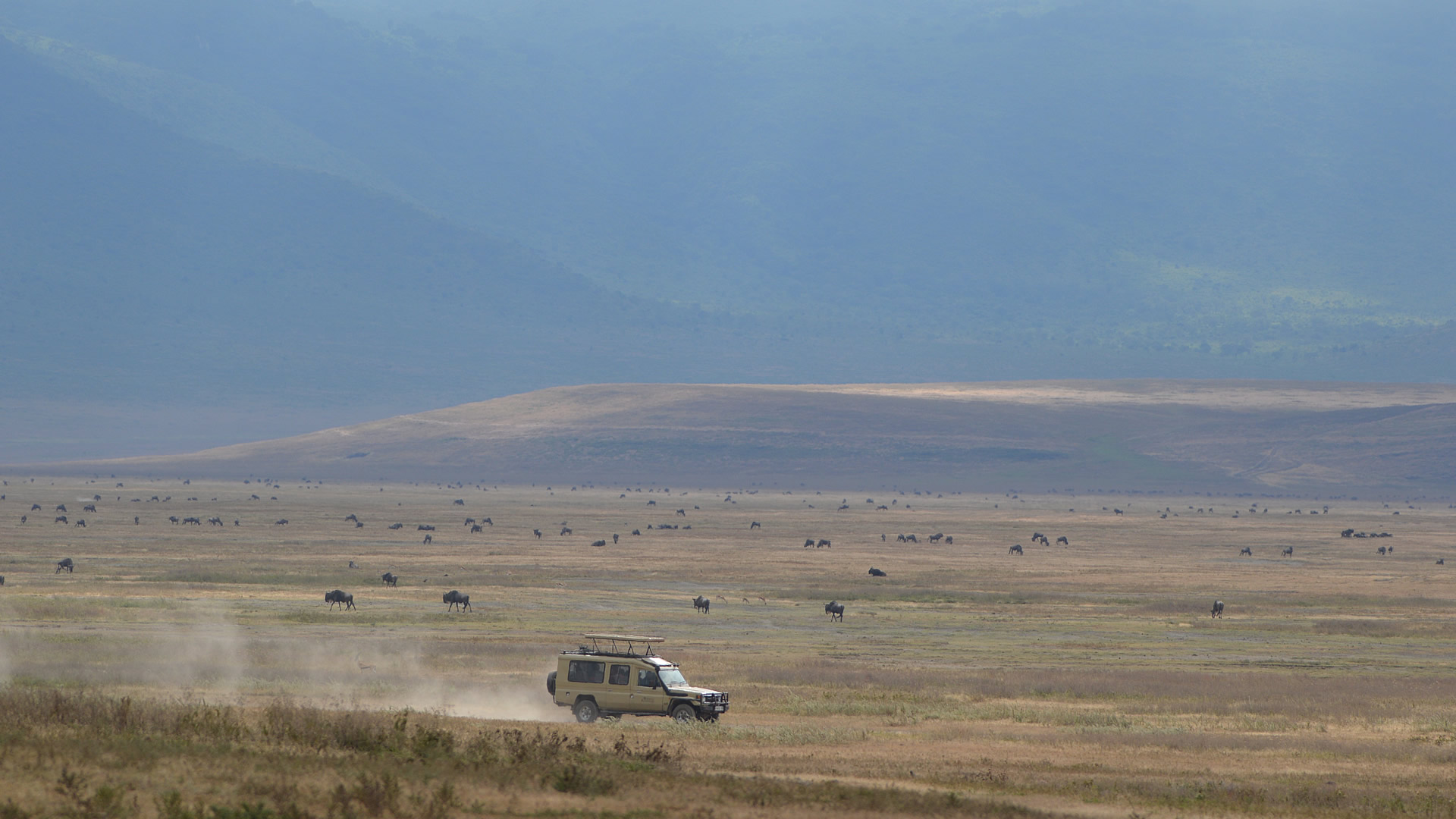 ngorongoro conservation area