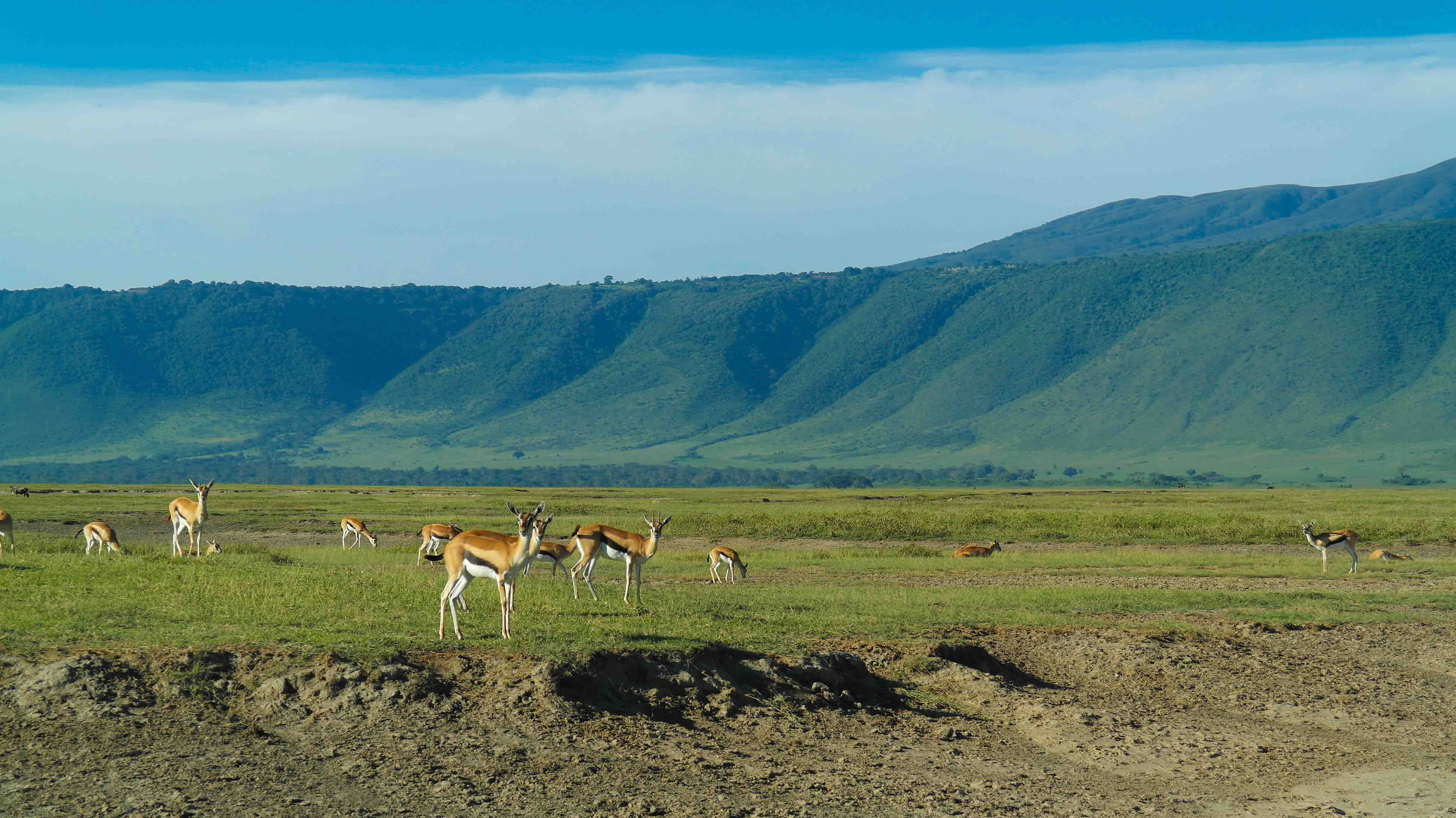 ngorongoro conservation area