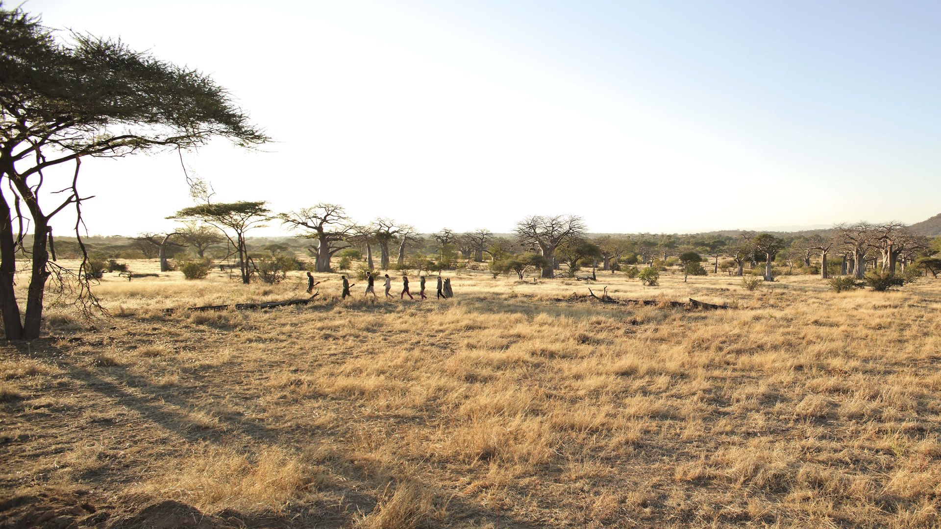 ruaha national park