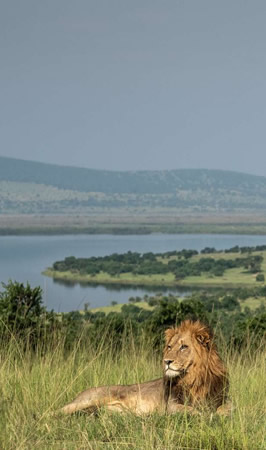 akagera national park