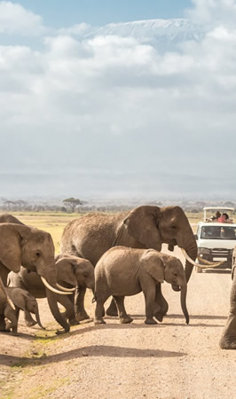 amboseli national park