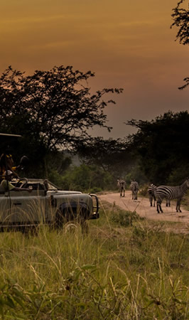 lake mburo national park