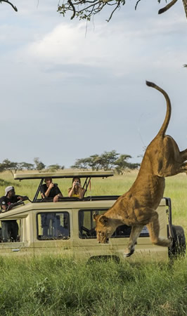 serengeti national park