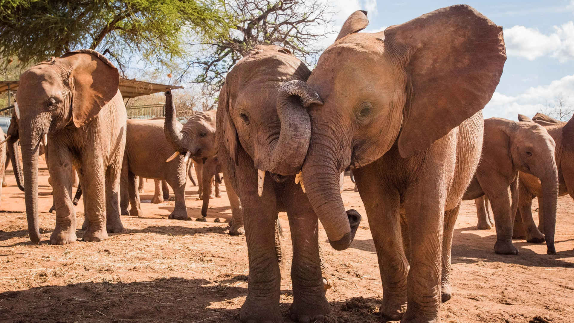 tsavo east national park