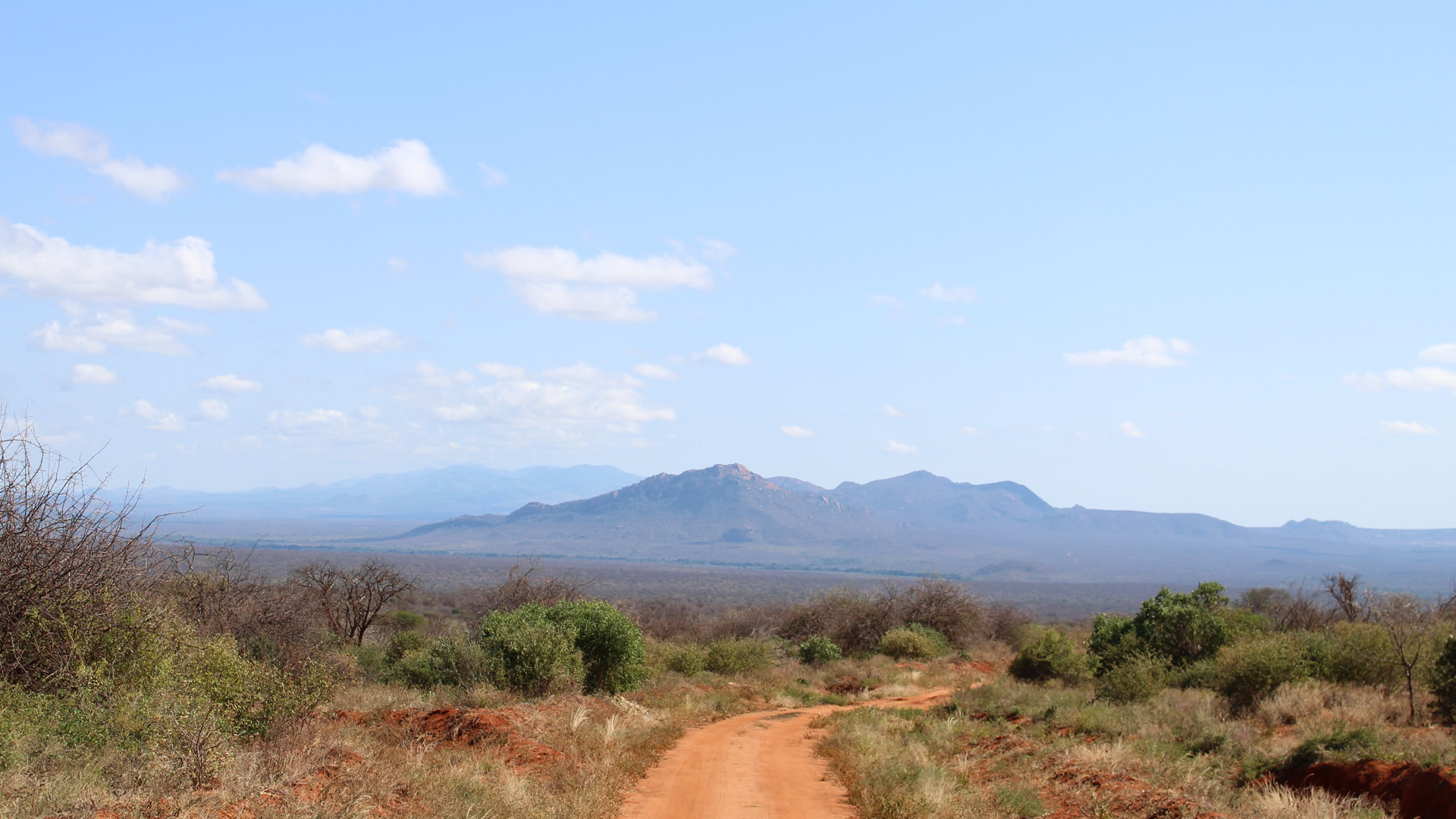 tarangire national park