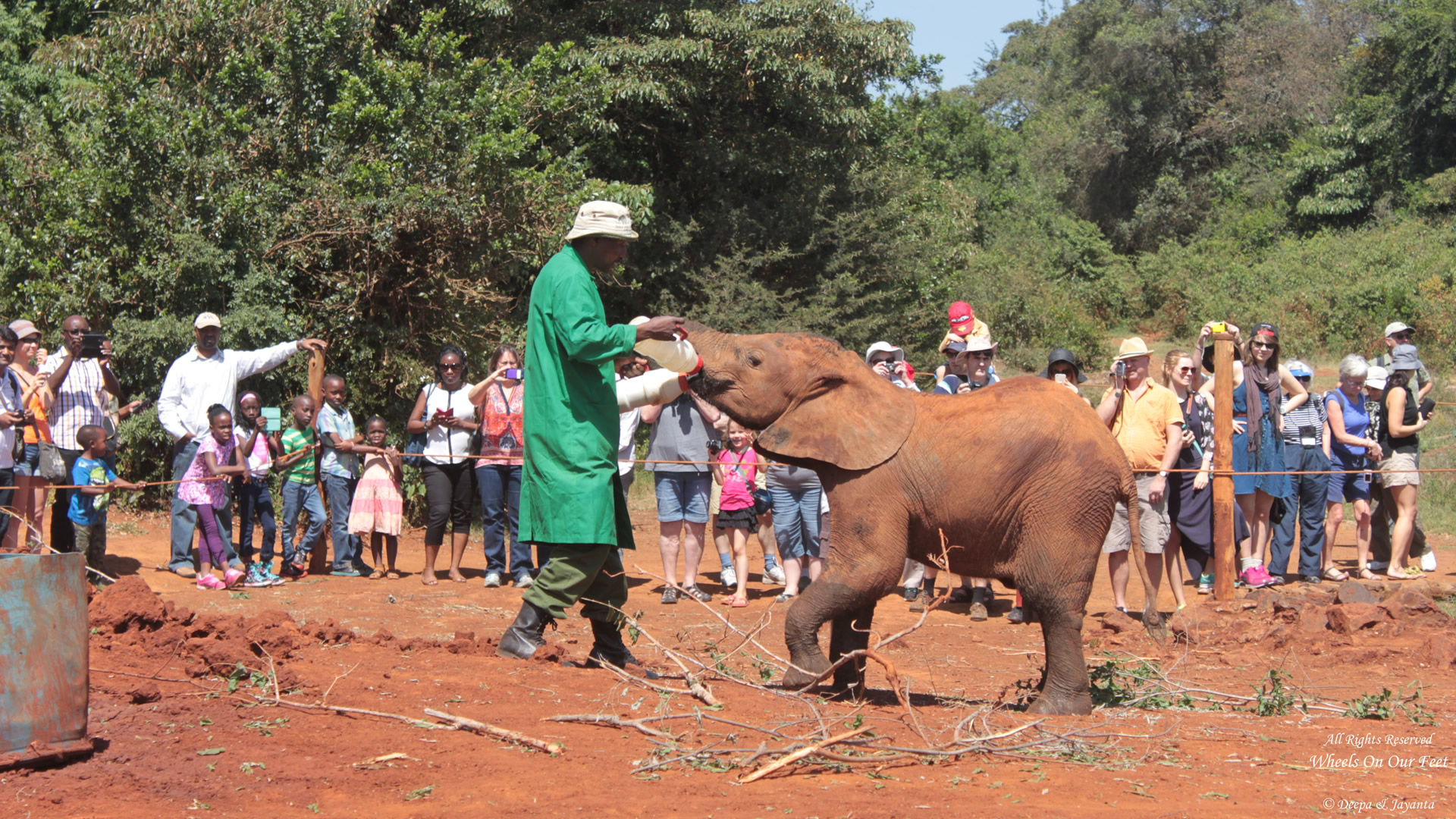 david shedrick elephant orphanage