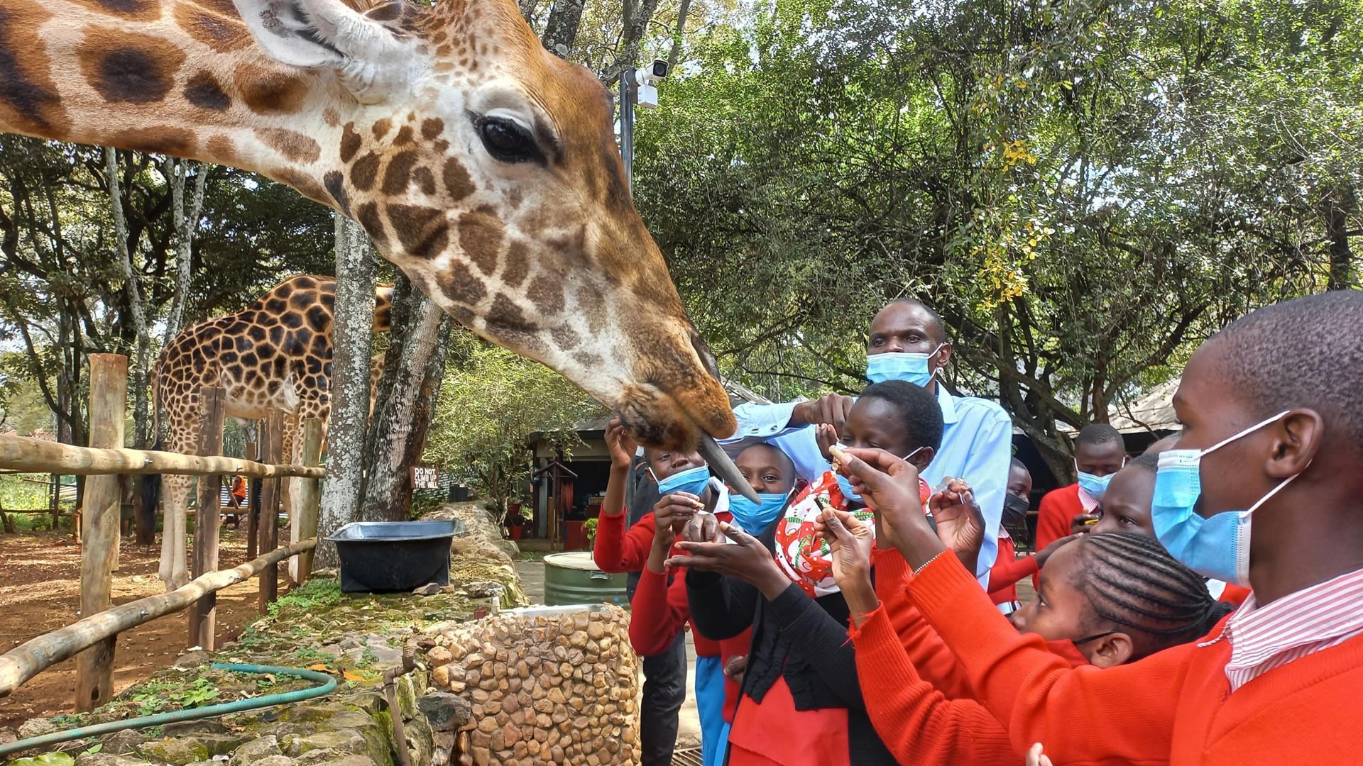 shedrick's, blixen and giraffe center