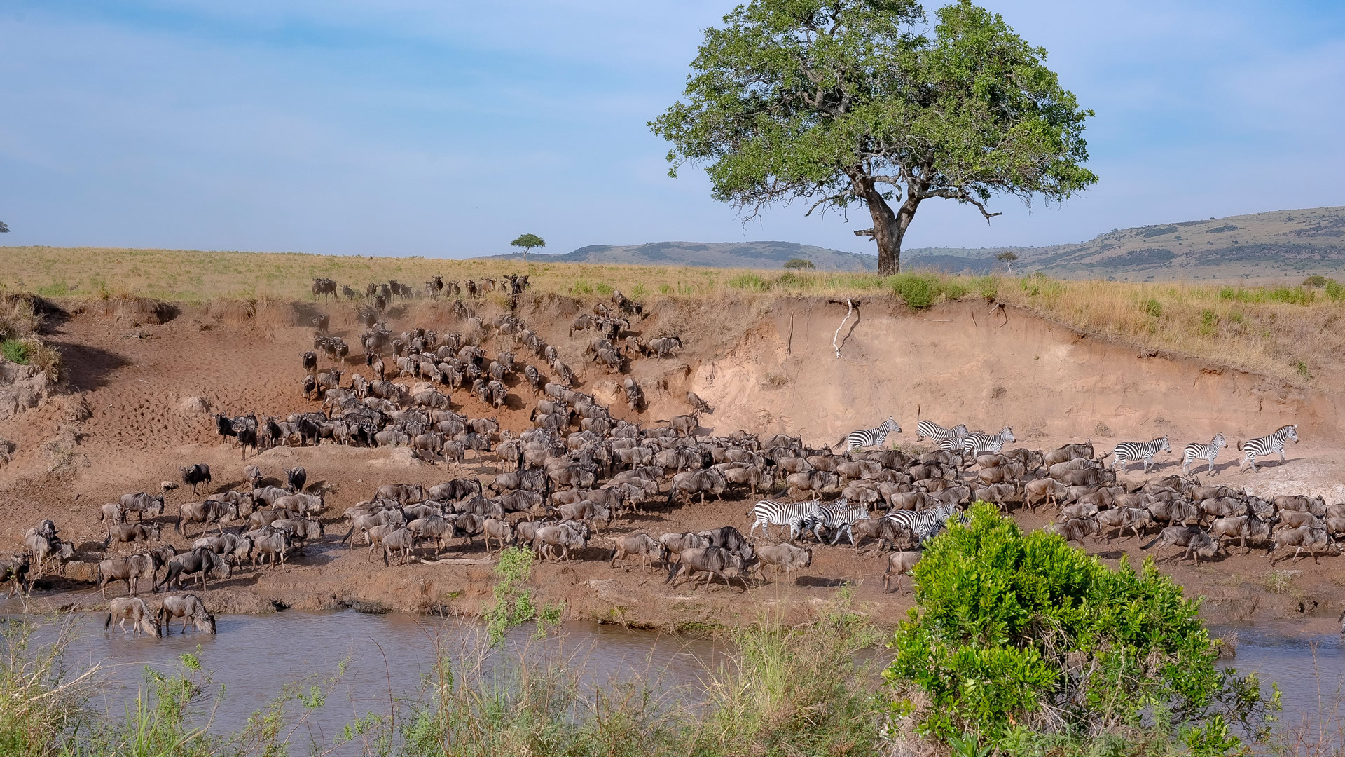 9 Nights tanzania wildlife thrills